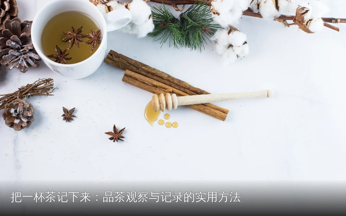 把一杯茶记下来：品茶观察与记录的实用方法